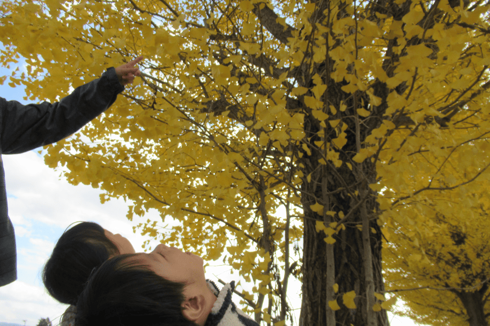 REWRITE_LIFESTYLE_014